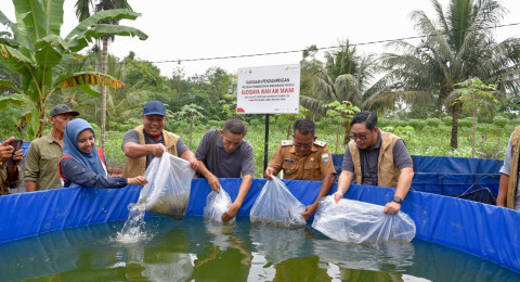 Lebih Dekat dengan Hulu Migas: Dari Kesiapsiagaan Tanggap Darurat hingga Budidaya Ikan di Kasang Lopak Alai