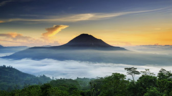 Menjelajahi Wisata Alam Indonesia: Rekomendasi Liburan ke Cianjur dan Bali yang Sama-sama Memikat