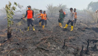 Polda Jambi Pastikan Penanganan Karhutla Sungai Gelam Maksimal