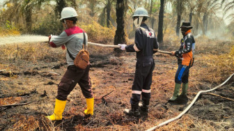 PetroChina Bantu Padamkan Kebakaran Hutan dan Lahan di Jambi