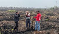 Polres Bengkalis Paling Tinggi Ungkap Kasus Karhutla di Polda Riau, Pemilik Lahan Terbakar di Mandau Jadi Tersangka