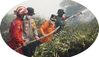 Hmmm Masih Ada Titik Api Jambi Ya Pak...Hari ini Gubernur, Kapolda, Danrem Ikut Pegang Selang Memadamkan Api  di Tanjab Timur
