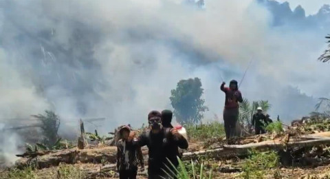 Hutan PT Jebus Terbakar 15 Hektar, Sengaja Dibakar Orang Tak Dikenal