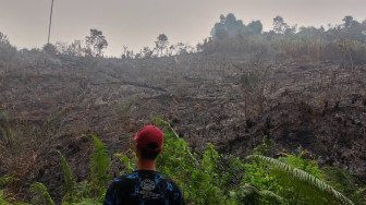 Pasca Lahannya Terbakar, Manajemen Jebus Maju Minta Polisi Usut Pelaku