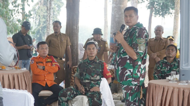 Bambu Jadi Tameng Gambut, Jambi Siapkan Jurus Baru Cegah Karhutla