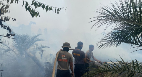 Satbrimob Polda Jambi Kerahkan 30 Personel Tangani Karhutla di Betara