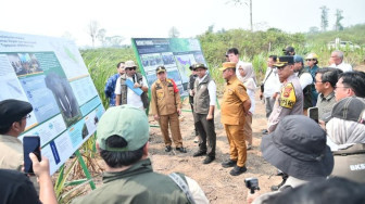 Memantau Konservasi Gajah Sumatera dan Pengelolaan Hutan Berbasis Masyarakat di Jambi