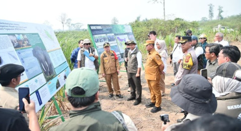 Memantau Konservasi Gajah Sumatera dan Pengelolaan Hutan Berbasis Masyarakat di Jambi