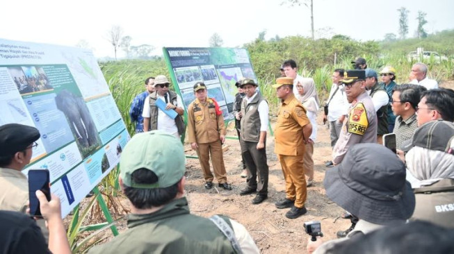 Memantau Konservasi Gajah Sumatera dan Pengelolaan Hutan Berbasis Masyarakat di Jambi