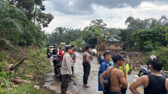 Pohon Tumbang Timpa Pengendara di Jalan Bangko-Kerinci, Satu Orang Meninggal Dunia