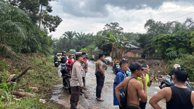 Pohon Tumbang Timpa Pengendara di Jalan Bangko-Kerinci, Satu Orang Meninggal Dunia