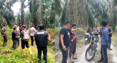 Panen Liar di Kebun Bunut, Dari Pencurian Sawit hingga Pembacokan Petugas