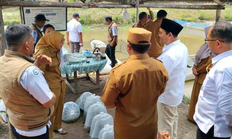 Kelompok tani dan kelompok pembudidaya ikan menerima bantuan dari SKK Migas - PetroChina International Jabung Ltd | foto : swd