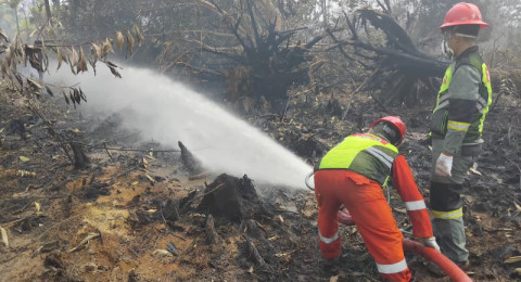 Aksi Cepat Tanggap, Tim Fire Station SKK Migas PetroChina Ikut Amankan Karhutla di Jambi