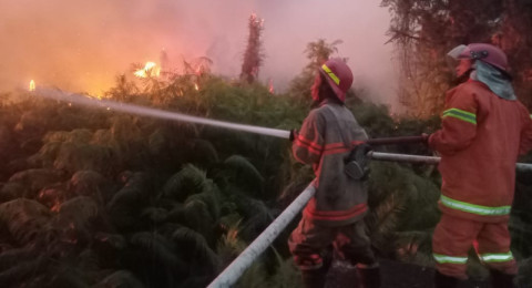 Pemancing Diduga Biang Kerok Kebakaran Belukar di Penyengat Rendah