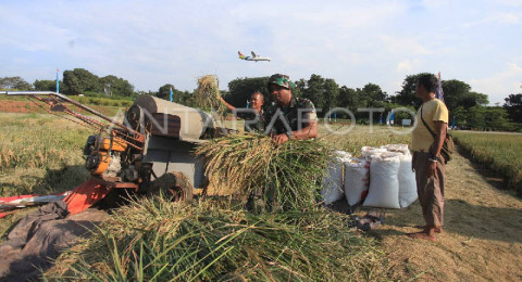 Anak Muda Turun ke Sawah, 111 Brigade Pangan Jadi Wajah Baru Pertanian